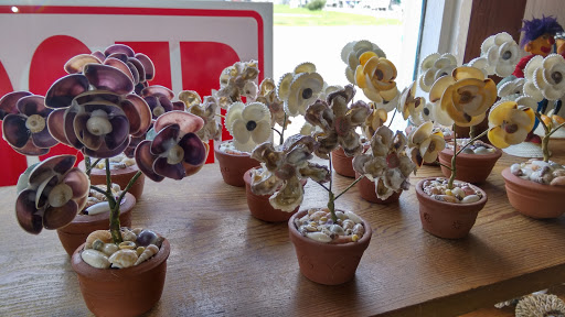 Gift Shop «Sea Shell Shoppe», reviews and photos, 120 N Austin St, Rockport, TX 78382, USA