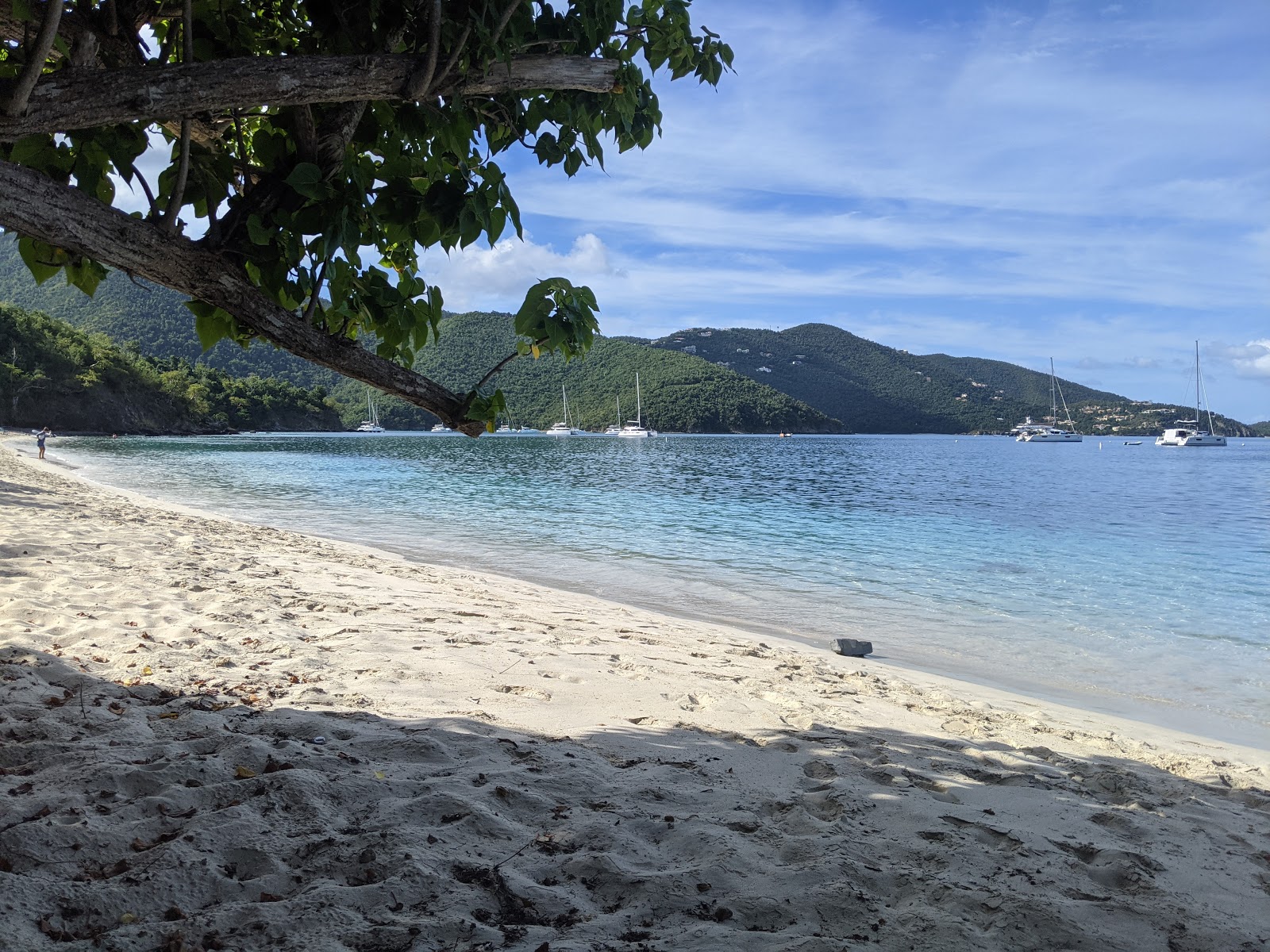 Francis Bay beach'in fotoğrafı geniş ile birlikte