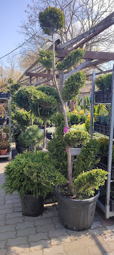 Parkert Kft Kertészeti Áruda - Fót