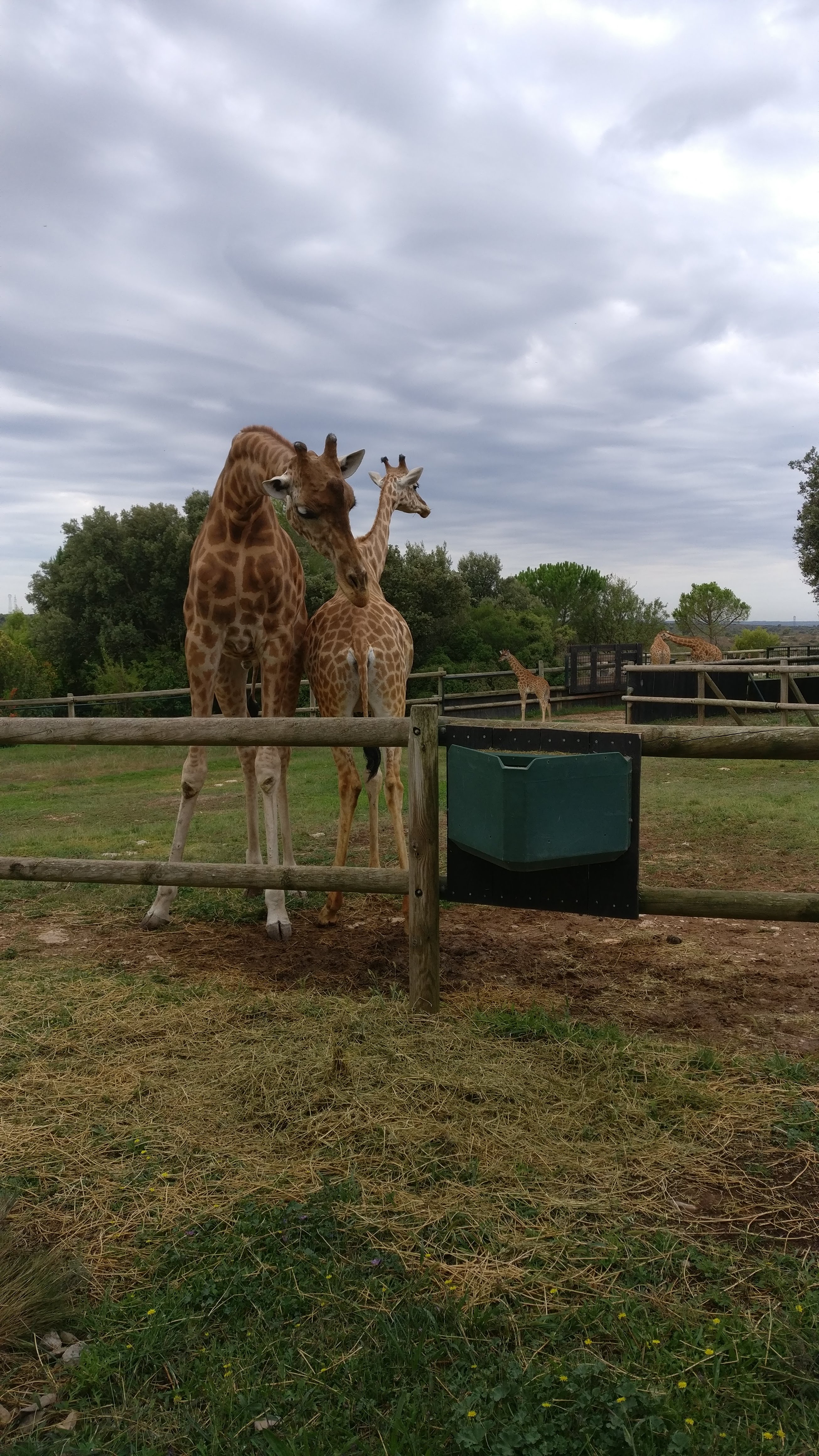 Photo n° 2 de l'avis de Florent.A fait le 18/09/2019 à 19:29