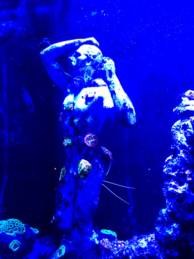 Cocktail Bar «Moloko», reviews and photos, 3967 N Mississippi Ave, Portland, OR 97227, USA