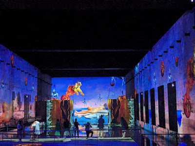 Duo entrée Bassins des Lumières + navette à Bordeaux