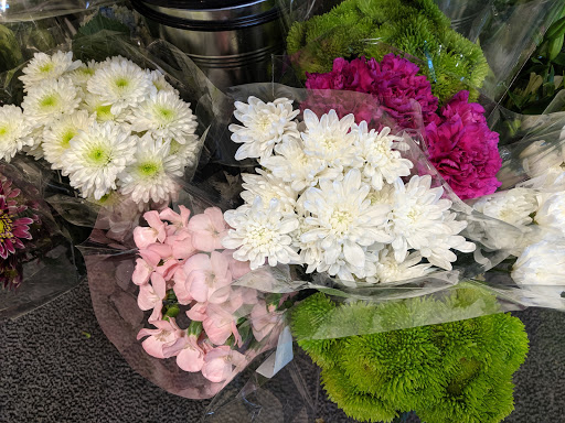 Grocery Store «Food Lion», reviews and photos, 85 S Carlton St, Harrisonburg, VA 22801, USA