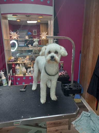 Clip & Tails Pet Grooming LLC