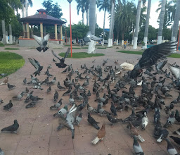 Plaza Lazaro Cardenas photo