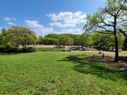 水元公園ドッグラン