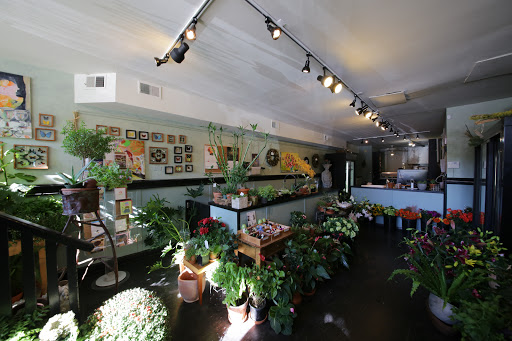 Florist «Halsted Flowers, LLC», reviews and photos, 2725 N Halsted St, Chicago, IL 60614, USA