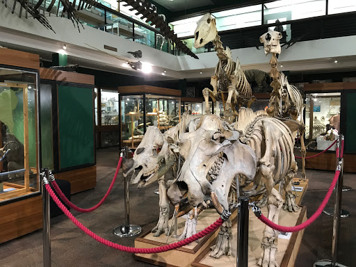 University of Aberdeen Zoology Museum Aberdeen
