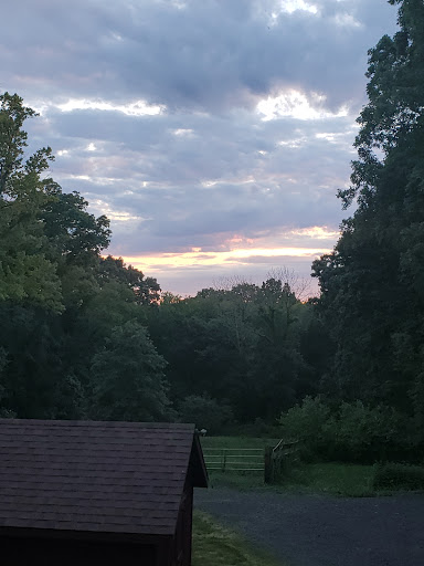 Farm «B & B Flower Farm», reviews and photos, 668 Jones Hill Rd, West Haven, CT 06516, USA