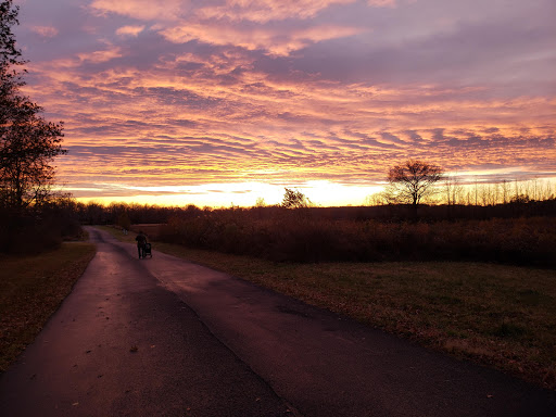 Nature Preserve «North Mount Loretto State Forest», reviews and photos, 6450 Hylan Blvd, Staten Island, NY 10309, USA