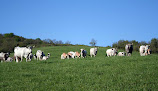 La Source, Association d'éleveurs bio en Ariège Léran