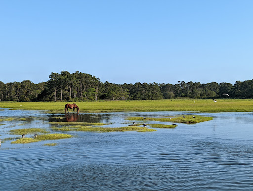 National Park «Assateague Island National Seashore», reviews and photos, 7206 National Seashore Ln, Berlin, MD 21811, USA