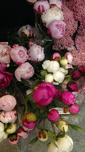 Grocery Store «Whole Foods Market», reviews and photos, 2 Somerset St, Portland, ME 04101, USA