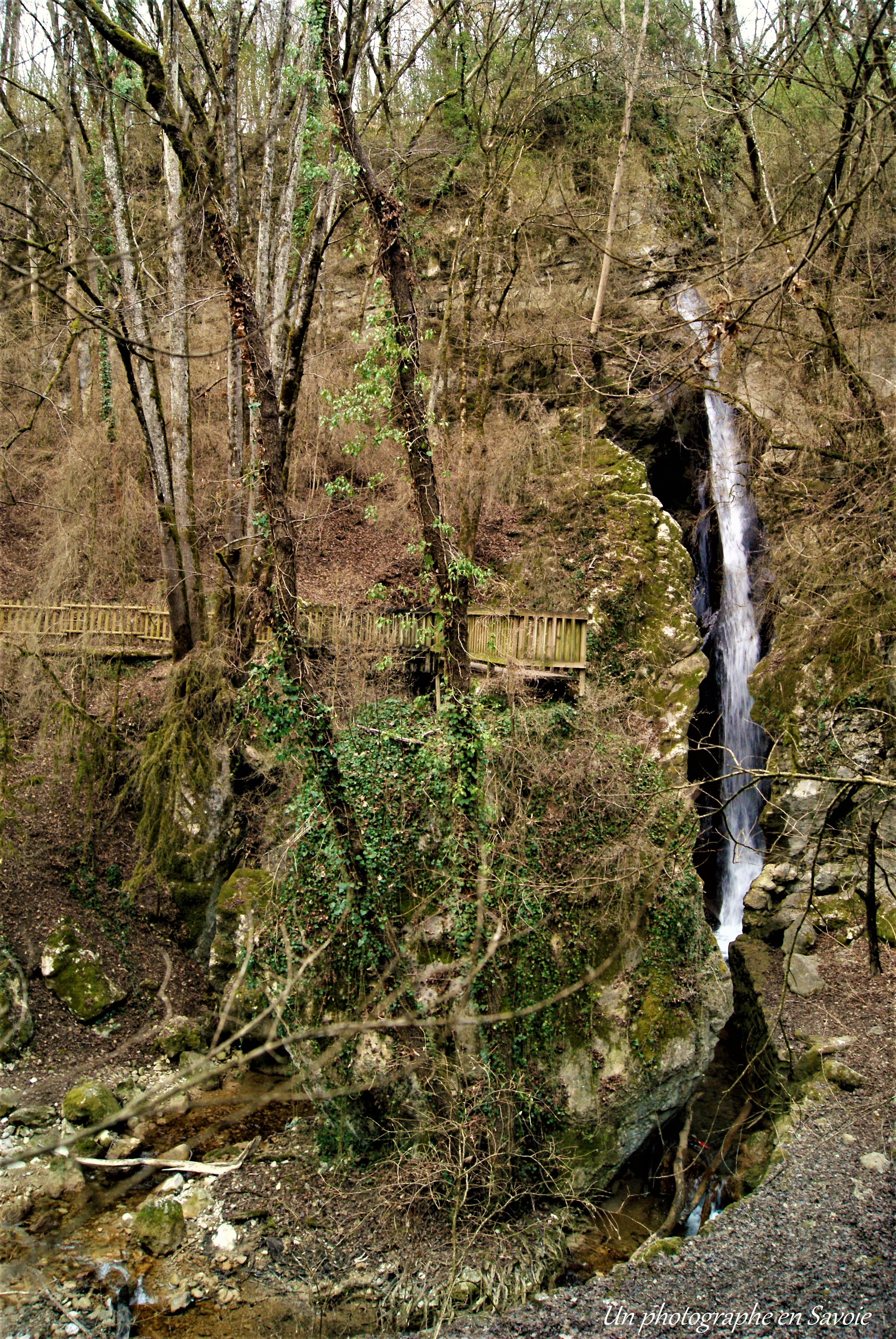 Photo n° 1 de l'avis de PikPokAIR.o fait le 07/03/2017 à 12:42