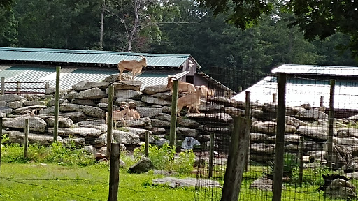 Zoo «Catoctin Wildlife Preserve and Zoo», reviews and photos, 13019 Catoctin Furnace Rd, Thurmont, MD 21788, USA