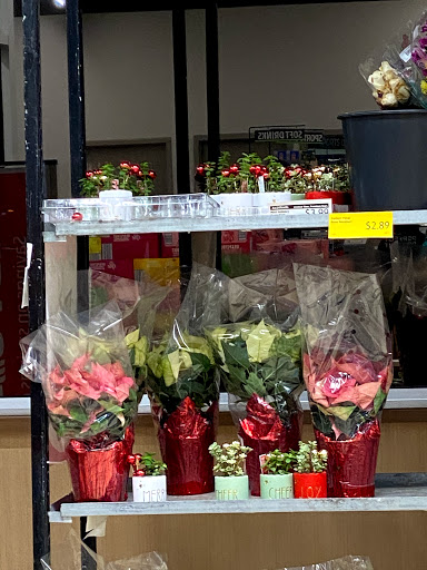 Supermarket «ALDI», reviews and photos, 2618 Pleasant Hill Rd, Duluth, GA 30096, USA