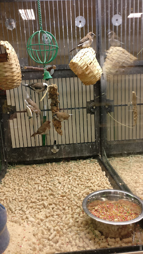 Pet Supply Store «PetSmart», reviews and photos, 2818 S Louise Ave, Sioux Falls, SD 57106, USA