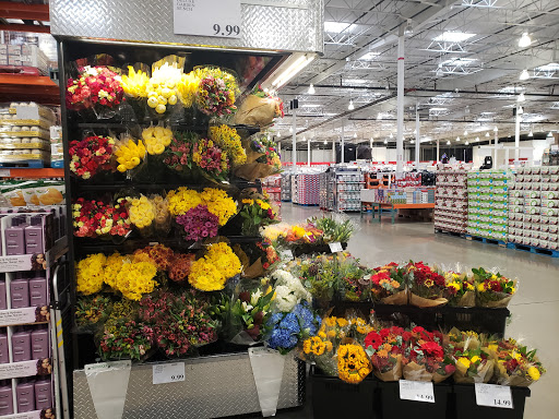 Warehouse store «Costco Wholesale», reviews and photos, 2195 E Custer Ave, Helena, MT 59602, USA