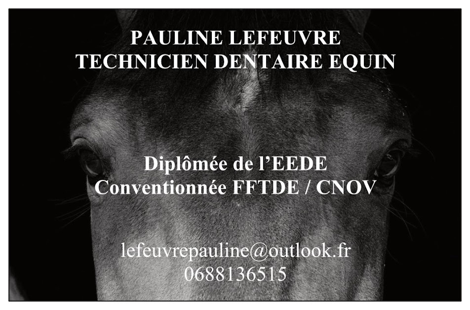 Pauline Lefeuvre Dentiste Equin (TDE) à Languidic (Morbihan 56)