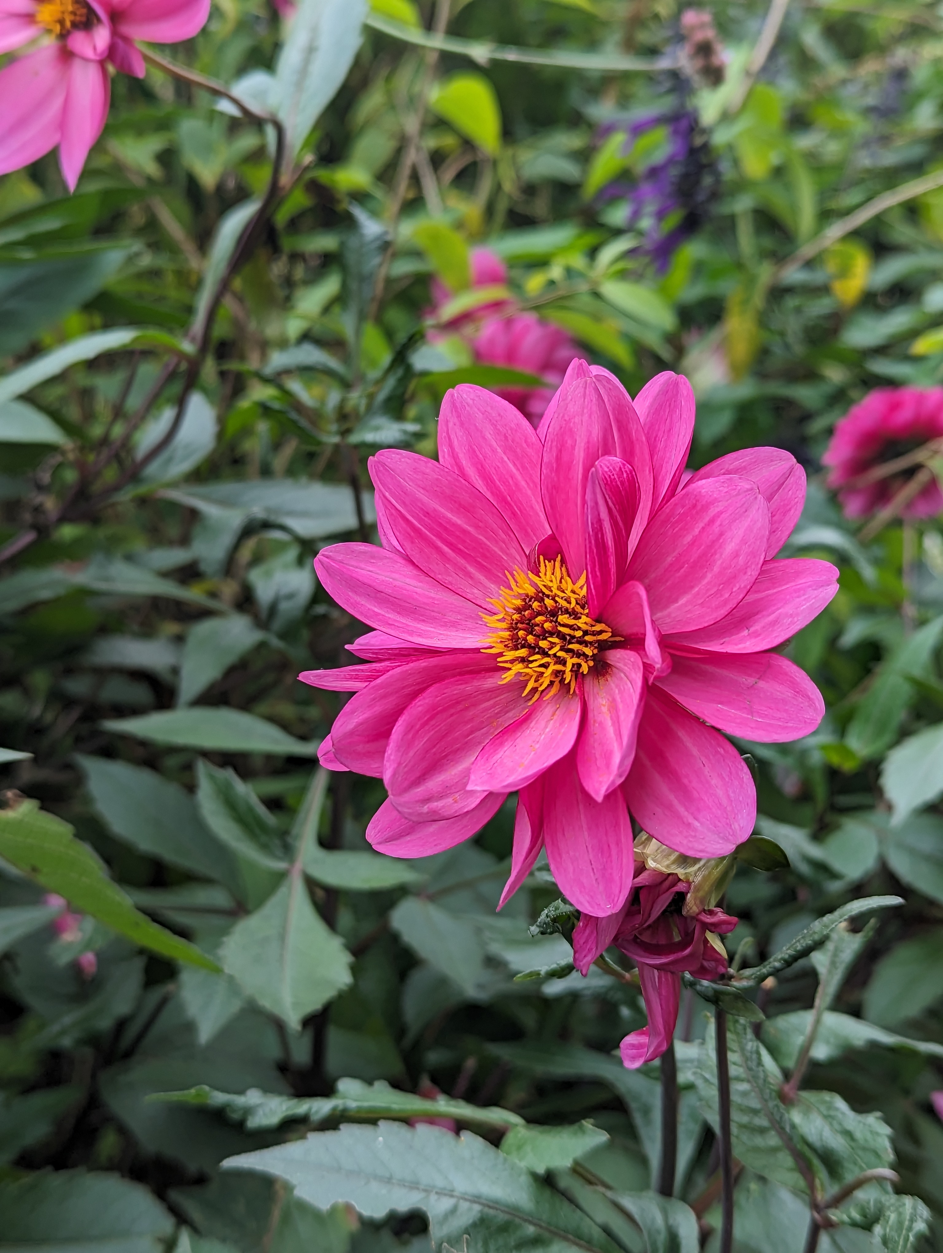 Photo n° 18 de l'avis de Salima.l fait le 05/11/2023 à 22:12