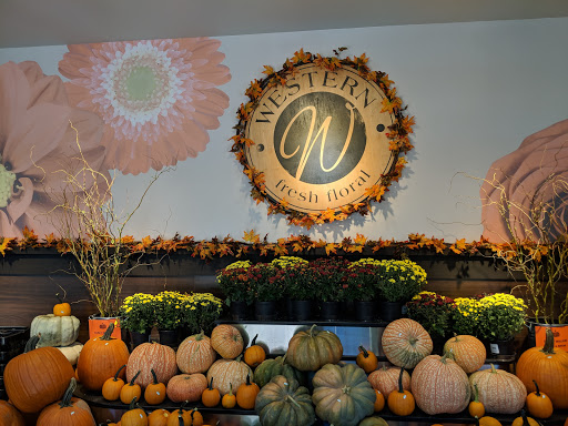 Supermarket «Western Market», reviews and photos, 1000 Jemison Lane, Mountain Brook, AL 35223, USA