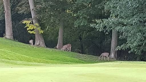 Golf Club «Pine Trace Golf Club», reviews and photos, 3600 Pine Trace Blvd, Rochester Hills, MI 48309, USA