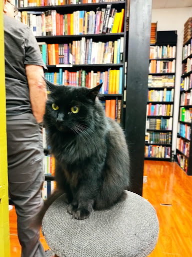 Recycle Bookstore image