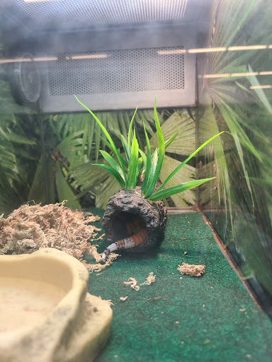 Pet Store «PetSmart», reviews and photos, 14903 4th Ave SW Ste 200, Burien, WA 98166, USA