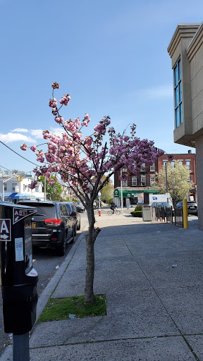 Drug Store «Walgreens», reviews and photos, 699 Broadway, Bayonne, NJ 07002, USA