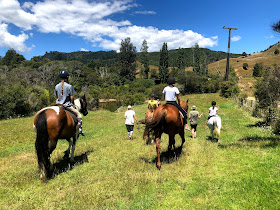 Wairakau Horse Treks