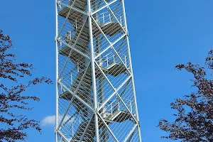 Brakel Observation Tower image