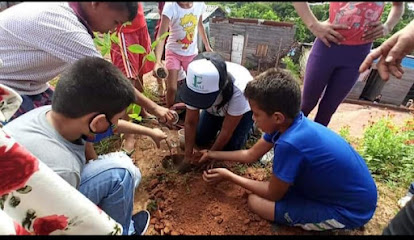 Fundación Ambiental Infantil