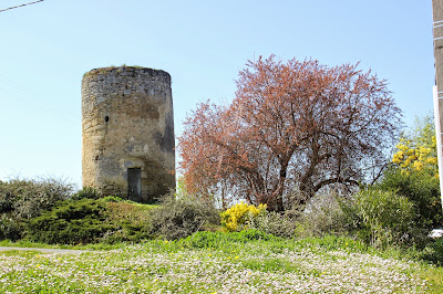 Vignobles Faure à Saint-André-du-Bois