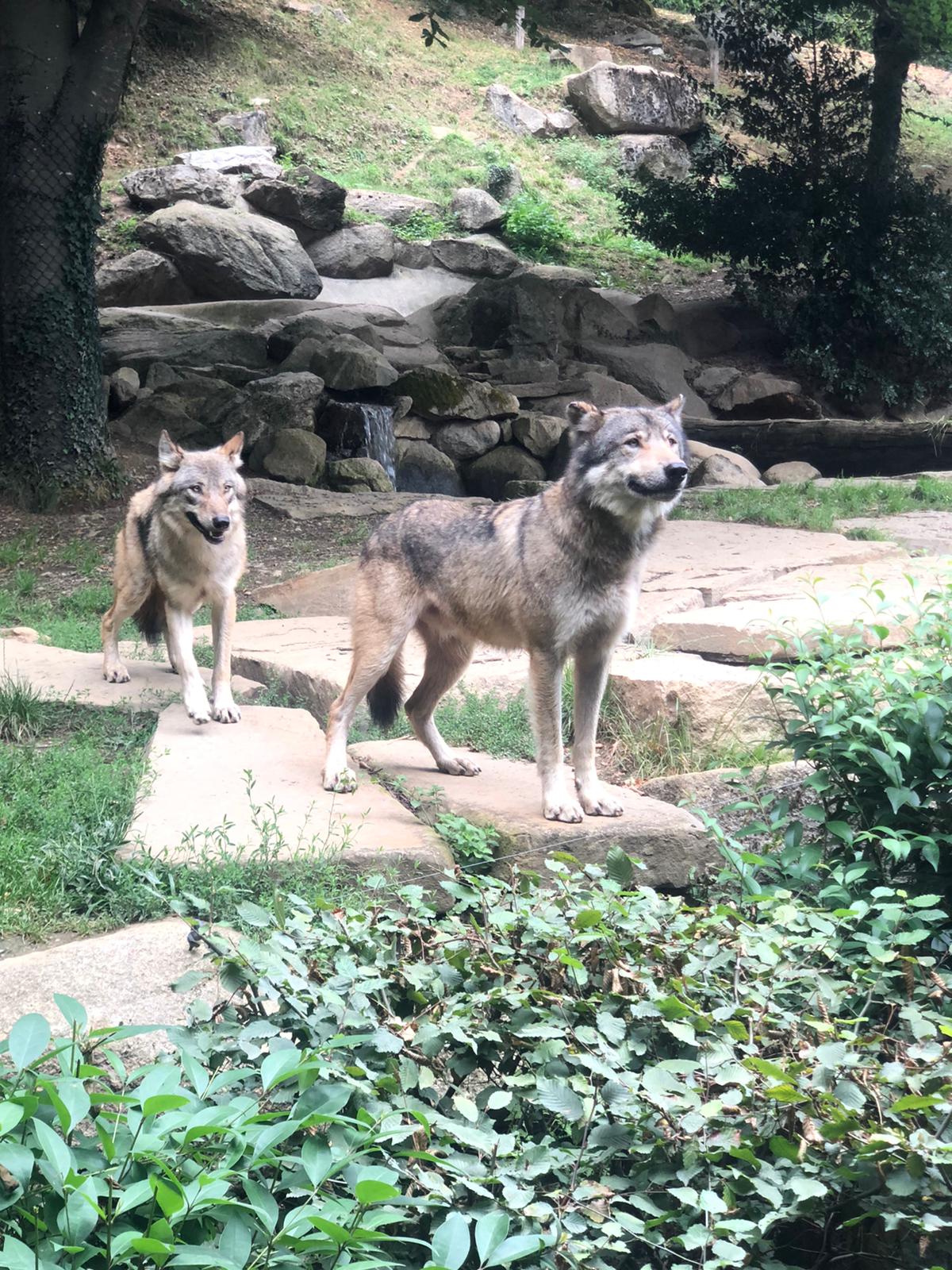 Photo n° 2 de l'avis de Mena.o fait le 27/08/2022 à 10:50