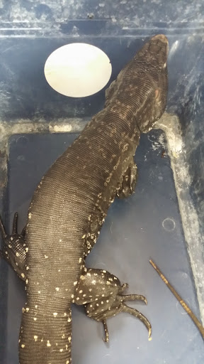 Pet Supply Store «Pet Supermarket», reviews and photos, 2924 13th St, St Cloud, FL 34769, USA