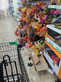 Dollar Tree - Photo 4 - Car repair in Fairlawn, OH, Akron