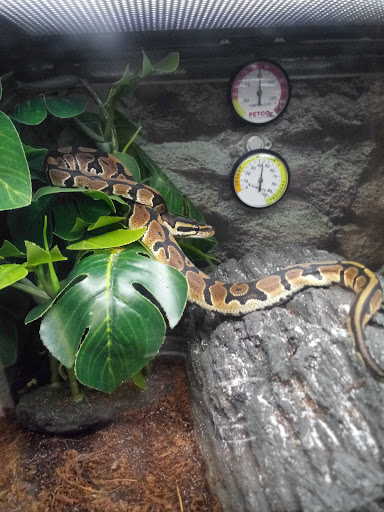 Pet Supply Store «Petco Animal Supplies», reviews and photos, 420 El Cerrito Plaza, El Cerrito, CA 94530, USA