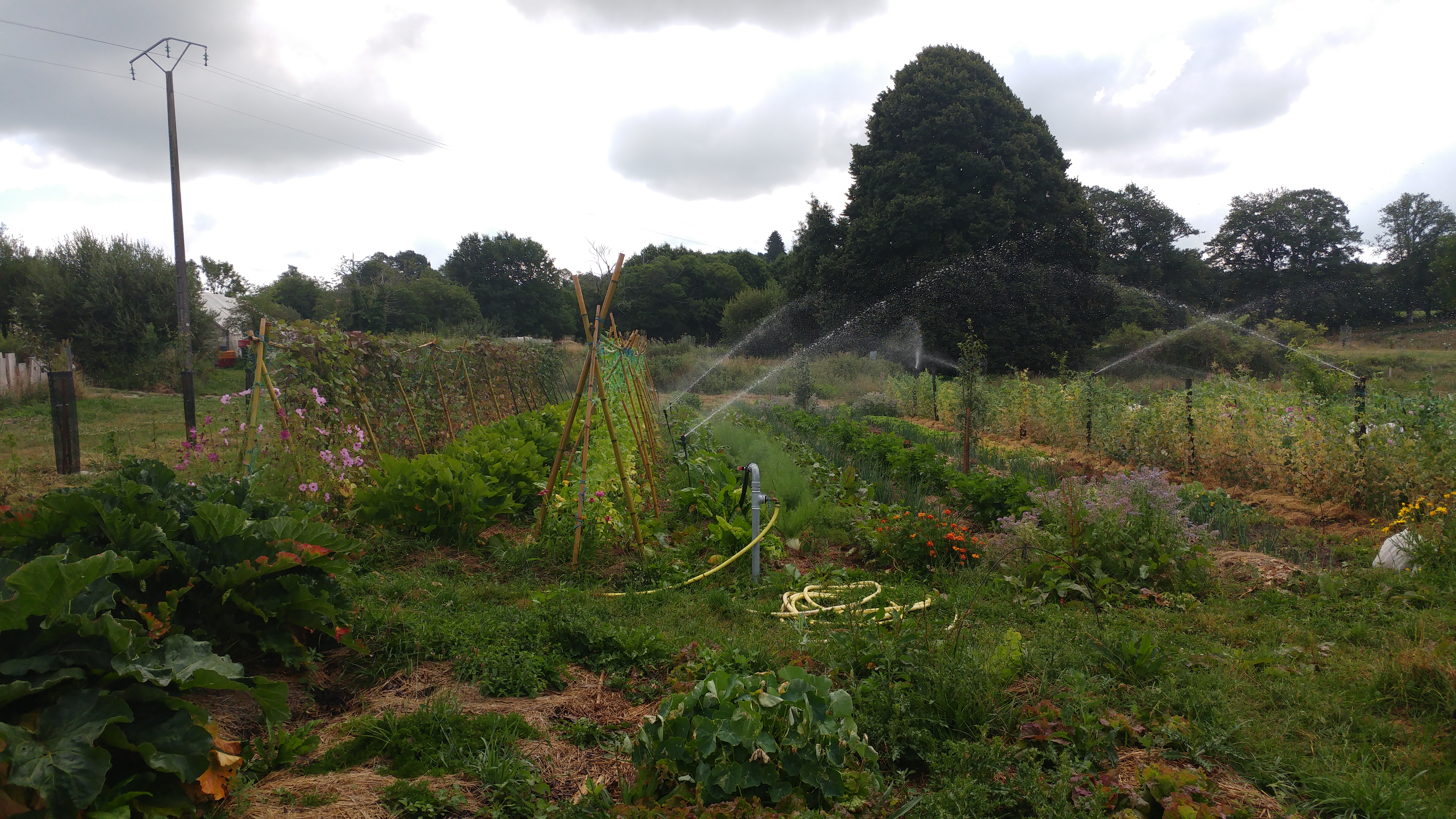 Photo n° 1 de l'avis de girard.a fait le 21/07/2018 à 09:45