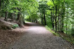 Glen Ding Forest image