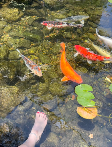 Building Materials Store «Foothill Building Materials», reviews and photos, 133 W Foothill Blvd, Pomona, CA 91767, USA