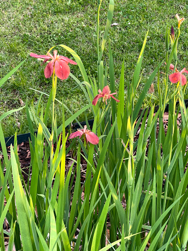 Natural History Museum «The Witt Stephens Jr. Central Arkansas Nature Center», reviews and photos, 602 President Clinton Ave, Little Rock, AR 72201, USA