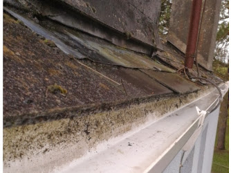 Gutter Cleaning Plymouth