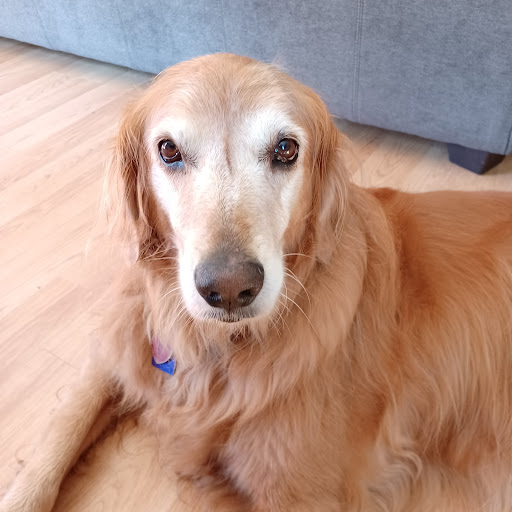 156 Columbus Rd, Fredericktown, OH 43019, USA