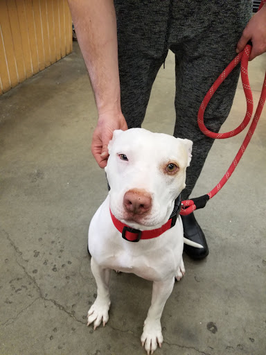 Pet Supply Store «Western Ranch & Pet Supply», reviews and photos, 103 Aegean Way, Vacaville, CA 95687, USA