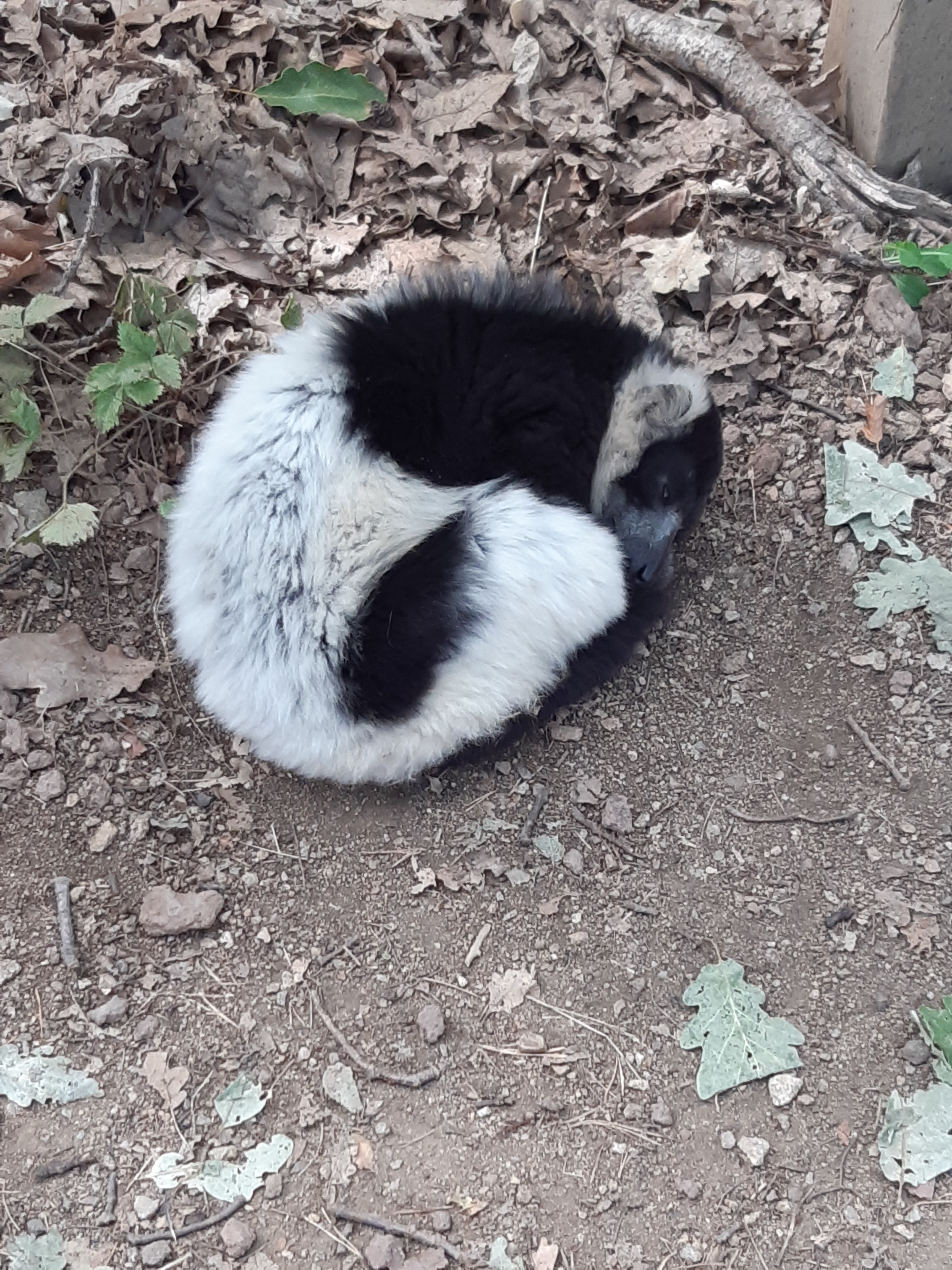 Photo n° 5 de l'avis de Judikaël.� fait le 18/08/2019 à 06:44