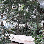 Photo n° 4 de l'avis de Titine62.2 fait le 07/04/2022 à 08:29 pour La Côte et l'Arête - Aucamville à Aucamville