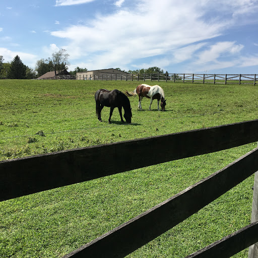 Tourist Attraction «The Underground Railroad Experience Trail», reviews and photos, 16501 Norwood Rd, Sandy Spring, MD 20860, USA