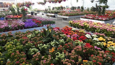 Garden Center Quel à Jœuf