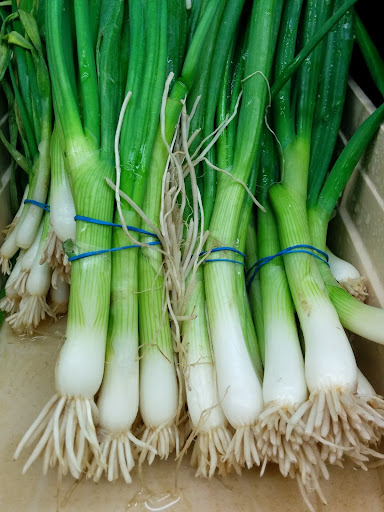 Grocery Store «Indian Supermarket», reviews and photos, 9400 N MacArthur Blvd # 114, Irving, TX 75063, USA