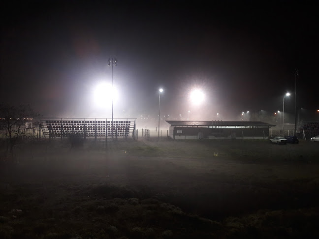 Opiniones de Estadio Anfa en Chillán - Campo de fútbol